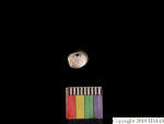 L_V23d1134 J1q856.1 Ux03 dM bd f233.jpg L_V23d1134 J1q856.1 Ux03 dM bd f233